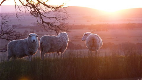 Tuki Trout Farm And Retreat - Accommodation Perth 4
