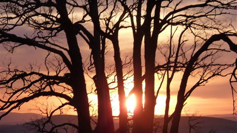 Tuki Trout Farm And Retreat - Accommodation Perth 5