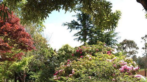 Chestnut Springs - Perth Resorts 2