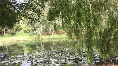 Chestnut Springs - Perth Resorts 7