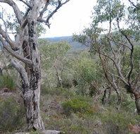 The Glen - Accommodation Perth