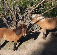 Cloud End Farmstay - Accommodation Perth