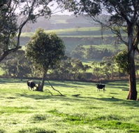 Bellevue Farmstay - Accommodation Perth