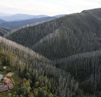 Howmans Gap Alpine Centre YMCA - Accommodation Perth