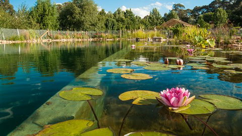 Planetrees Estate  - Accommodation Perth 0