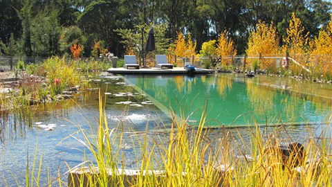 Planetrees Estate  - Accommodation Perth 5