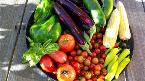 Griffins Hill Retreat - Accommodation Perth 1