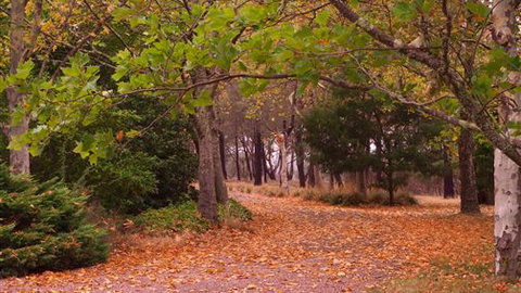 Griffins Hill Retreat - Accommodation Perth 5