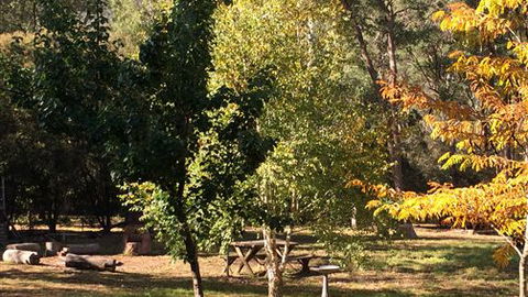 Schusters Lodge - Perth Resorts 6