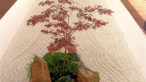 Shizuka Ryokan Japanese Country Spa & Wellness Retreat - Accommodation Perth 6