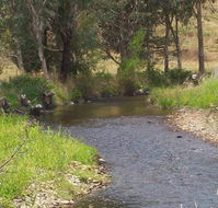 Murphy's Cabin - Accommodation Perth