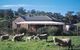 Amanda Stichbury Cottage - thumb 0