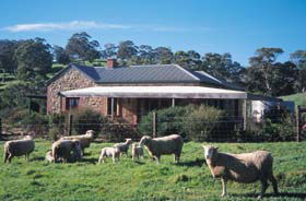 Amanda Stichbury Cottage - Accommodation Perth 0