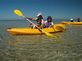 Ceduna Shelly Beach Caravan Park And Beachfront Villas - Accommodation Perth 3