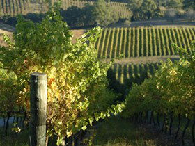 Pike And Joyce Wines - Accommodation Perth 0