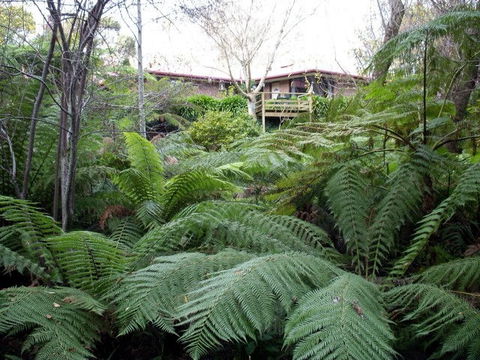 Adelaide Hills Bed & Breakfast Accommodation - Accommodation Perth 3