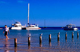 Blue Dolphin Caravan Park & Holiday Village - Accommodation Perth 4