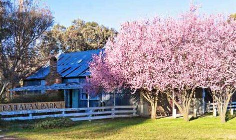 Bushlands Tourist Park - Accommodation Perth 3