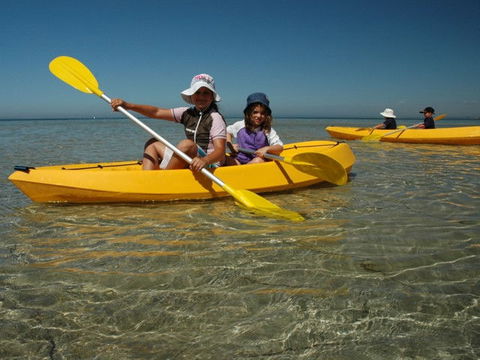 Ceduna Shelly Beach Caravan Park - Accommodation Perth 4