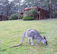 Jenolan Caves Cottages - Accommodation Perth