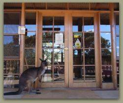 Kangaroo Island Wilderness Retreat - Accommodation Perth 1