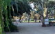 Kingston-On-Murray Caravan Park - thumb 0