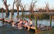 Kingston-On-Murray Caravan Park - thumb 14