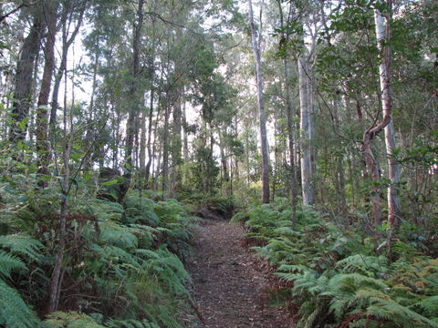 Maleny Country Cottages - Accommodation Perth 1