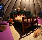Aranyani Bison Adventure Tourist Park - Accommodation Perth
