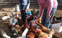 Barcoos Farmstays Bathurst - Accommodation Perth 5