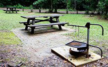 Bellbird Campground - Accommodation Perth 0