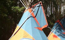 Central Coast Eco Tours - Accommodation Perth 0