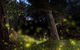 Central Coast Eco Tours - thumb 1