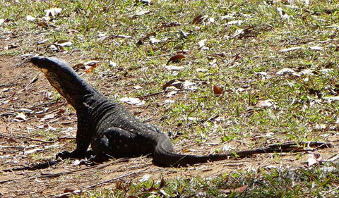Cutters Camp Campground - Accommodation Perth 1
