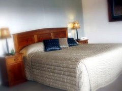 Saltbush Motor Inn - Accommodation Perth 4