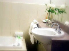 Saltbush Motor Inn - Accommodation Perth 5
