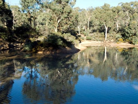 Toodyay Holiday Park & Chalets - Accommodation Perth 4
