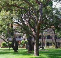 Trinity - Accommodation Perth