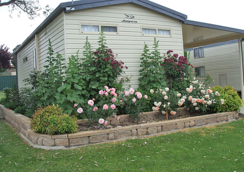 Walcha Caravan Park - Accommodation Perth 3