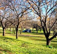 Wellington Caves Caravan Park - Perth Resorts