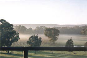 Settlers Rest Farmstay Swan Valley - Accommodation Perth 3
