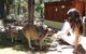 Yelverton Brook Eco Spa Retreat And Conservation Sanctuary - thumb 0