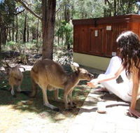 Yelverton Brook Eco Spa Retreat and Conservation Sanctuary