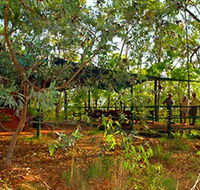 Arnhemland Barramundi Nature Lodge - Accommodation Perth
