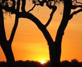 Coodardie Station Stay - Accommodation Perth 2