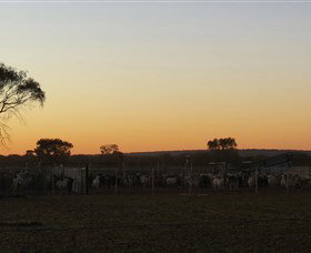 Goodwood Stationstay - Accommodation Perth 1