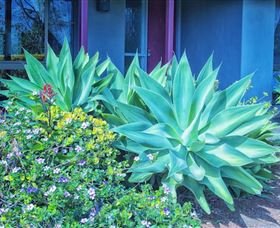 Possum Creek Eco Lodge - Accommodation Perth 1
