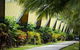 Hamilton Island Palm Bungalows - thumb 1