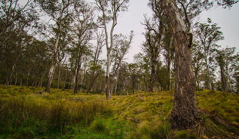 Gummi Falls Campground - Accommodation Perth 1