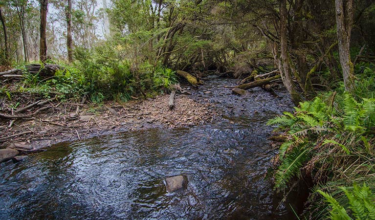Moonan Brook NSW Accommodation Perth